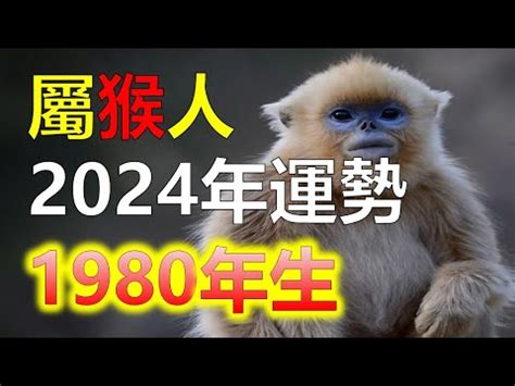 1980屬猴|1980年生猴：性格解密